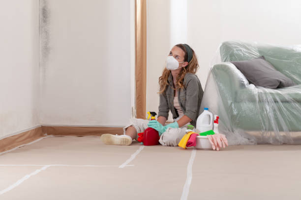 Reliable Mold Remediation contractor in Suwanee, GA by 24 Hour Mold Removal